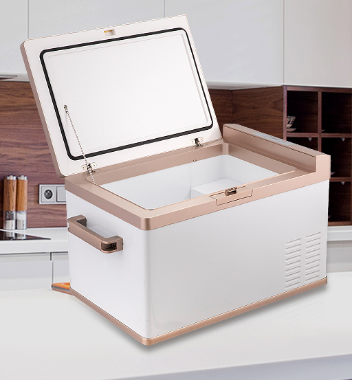 یخچال خودرو